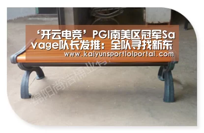 ‘开云电竞’PGI南美区冠军Savage队长发推:全队寻找新东家(图2) 电竞官网