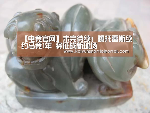 开云电竞